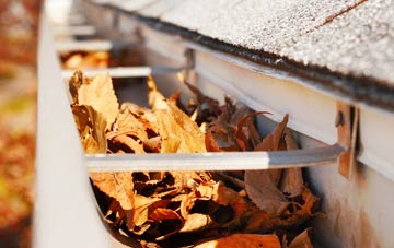 Riverside gutter cleaning companies